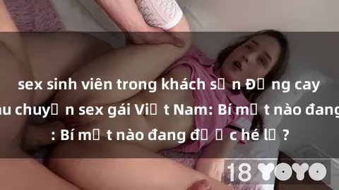 sex sinh viên trong khách sạn Đắng cay với những câu chuyện sex gái Việt Nam: Bí mật nào đang được hé lộ?